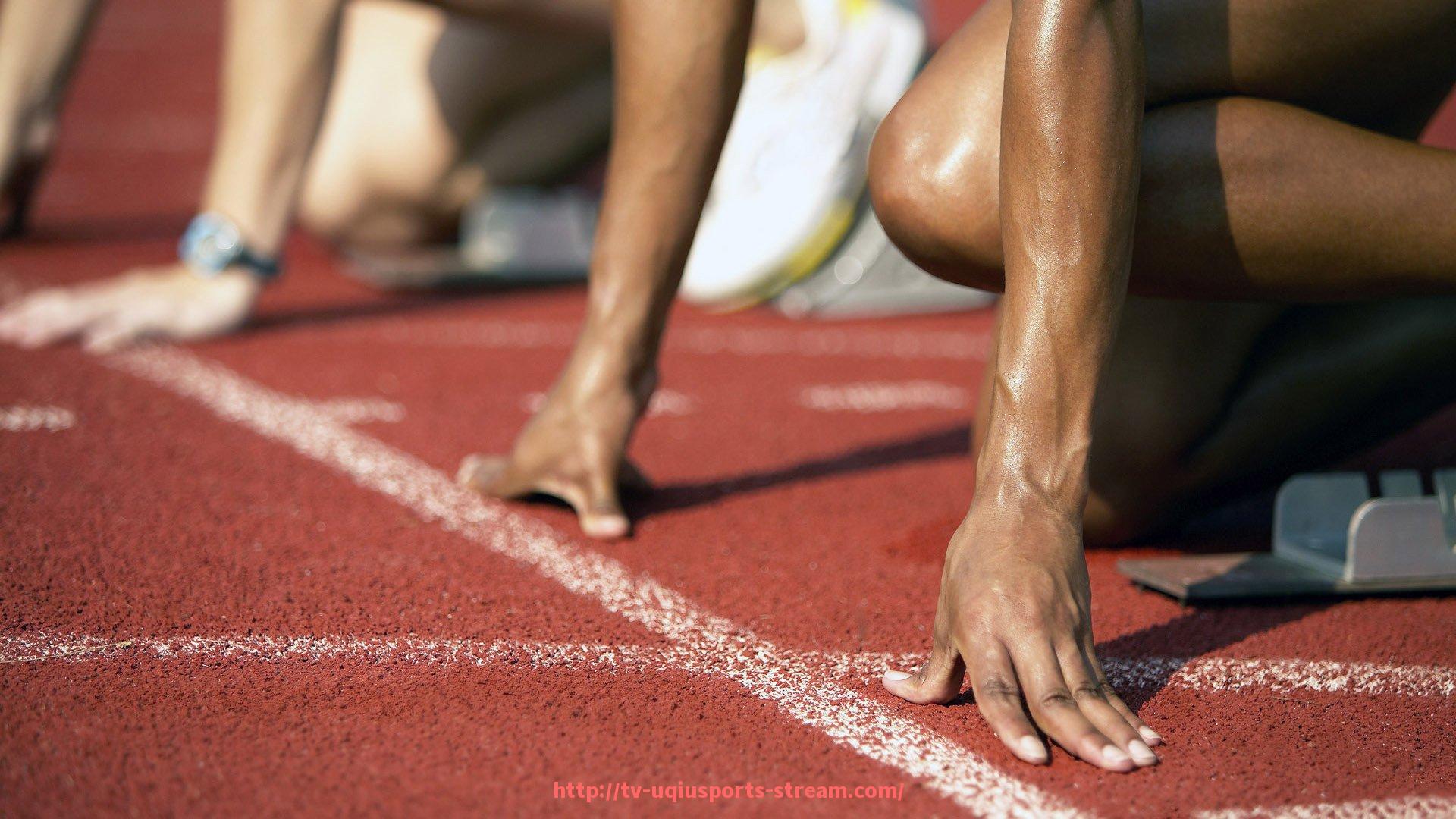 U球体育直播-世俱杯球迷观赛打气道具推荐清单及使用效果分析