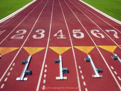 U球体育直播-世俱杯赛事组织结构及管理模式详解